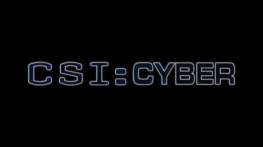 C.S.I.: Киберпространство постер